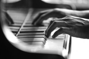 o0422028013240688707